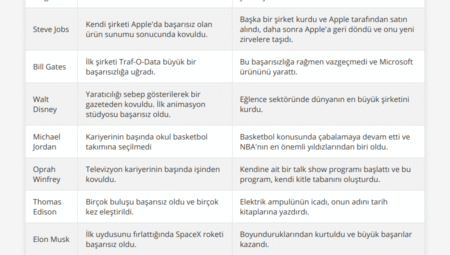 Başarı Hikayeleri: Etkili ve Güçlü İnsanların İnanılmaz Yolculukları