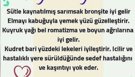 Faydalı Bilgiler: Etkili ve Başarılı Modern Yaşam İçin En İyi Rehber